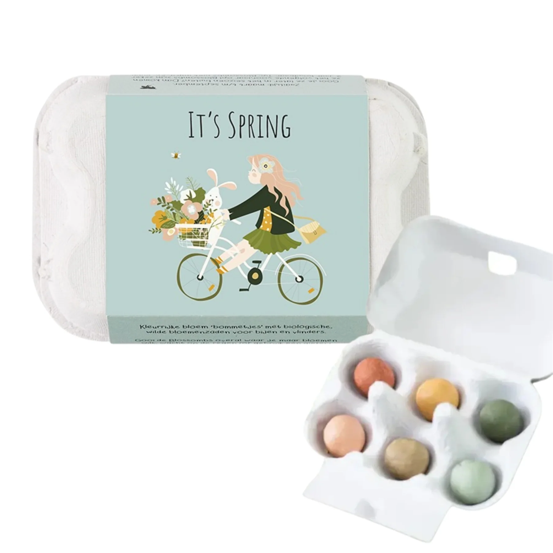 Egg Carton Seeds