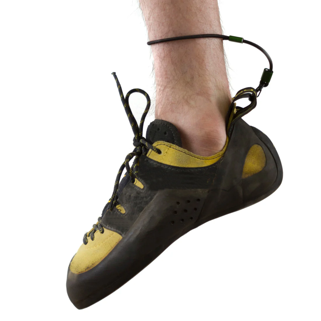 Hang Dogs Shoe Keeper - Image 2