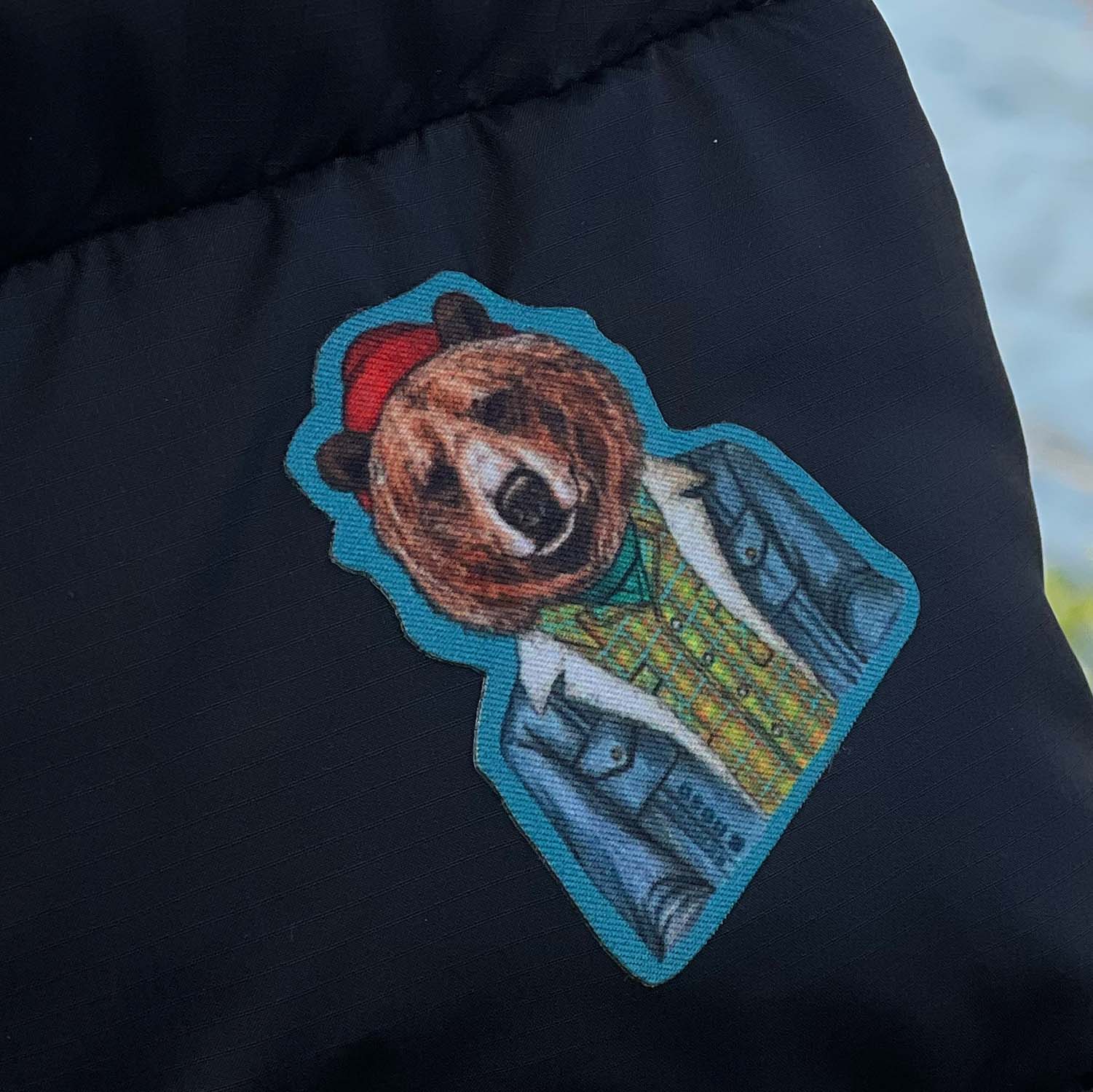 Mr Grizzly Bear - Image 2