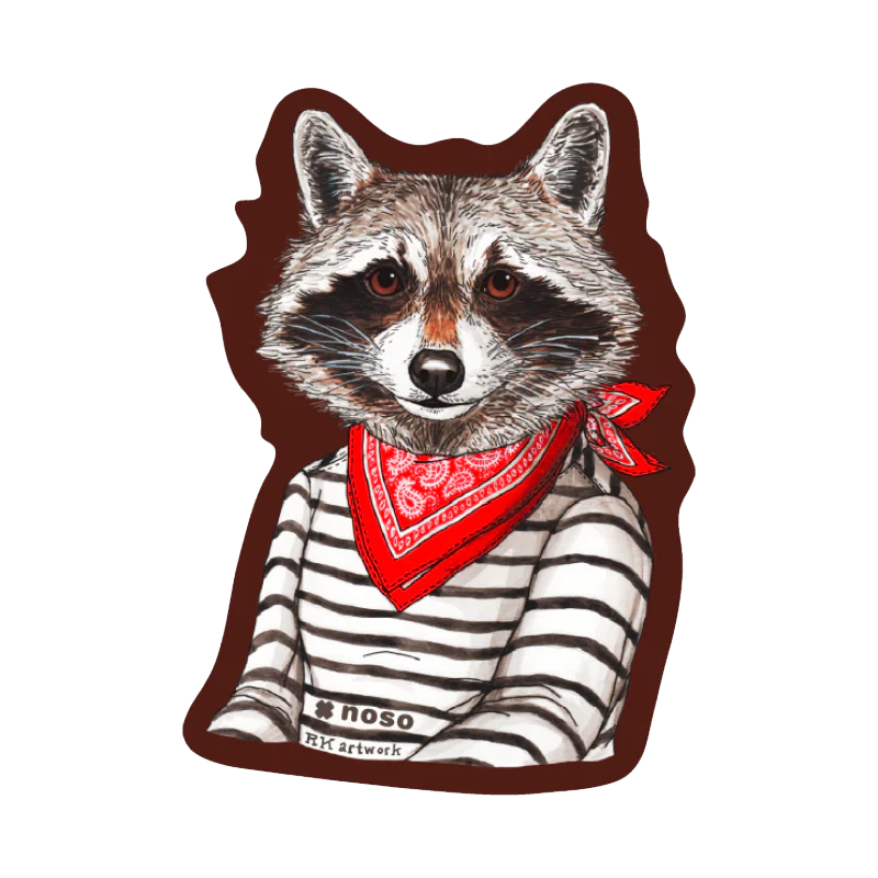 Raccoon Bandit