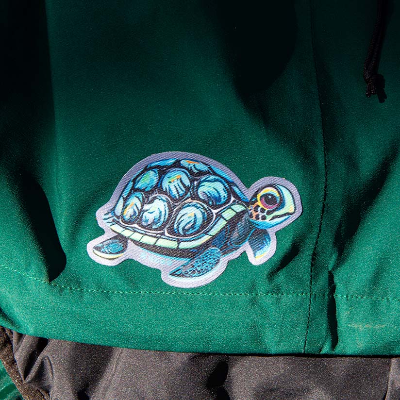 Turtle - Image 2