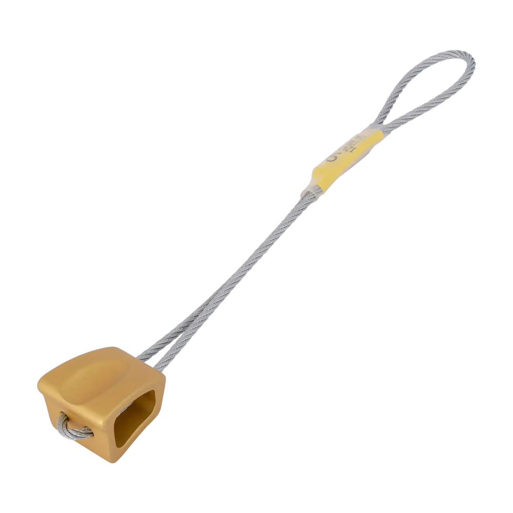 Wallnut - Image 3