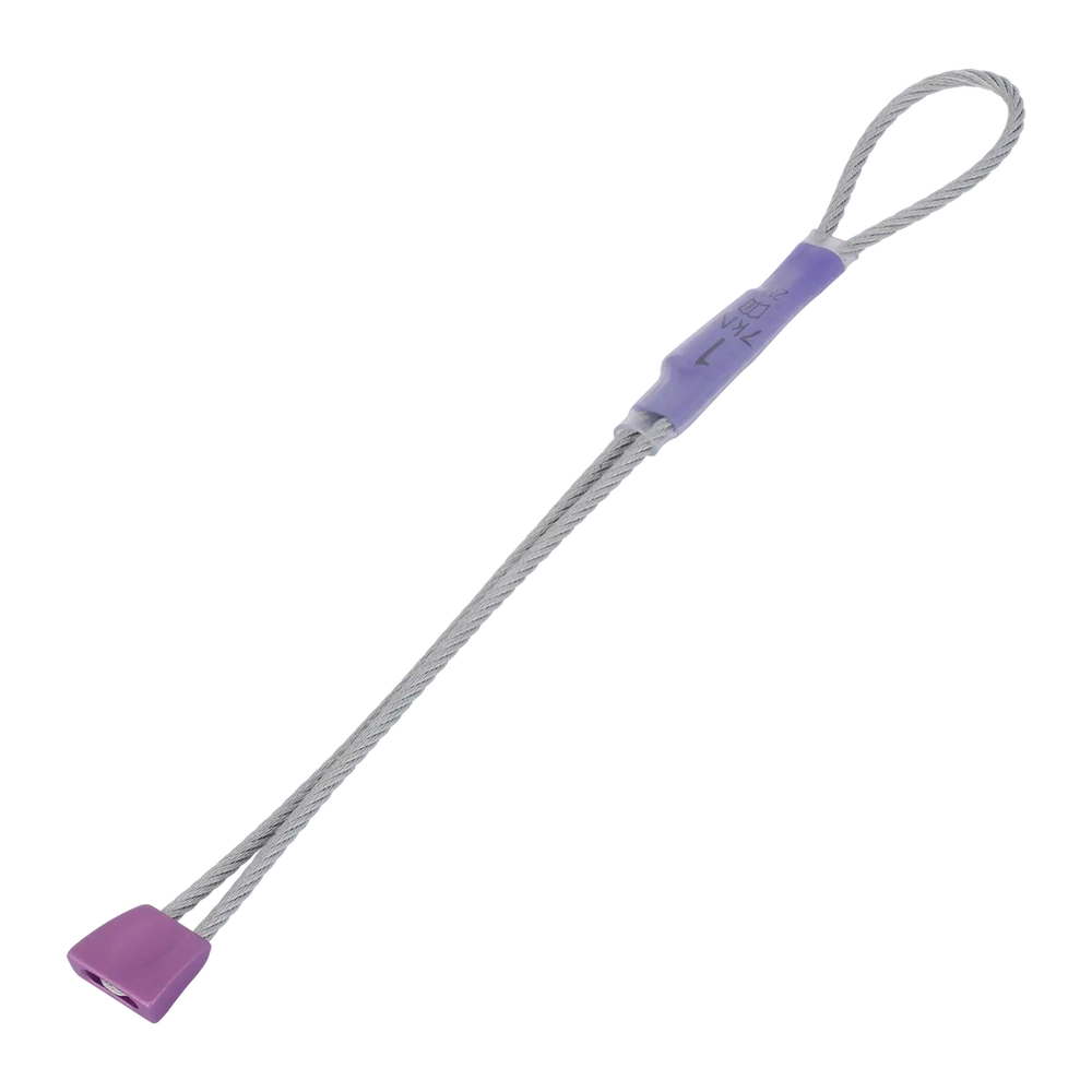 Wallnut - Image 4