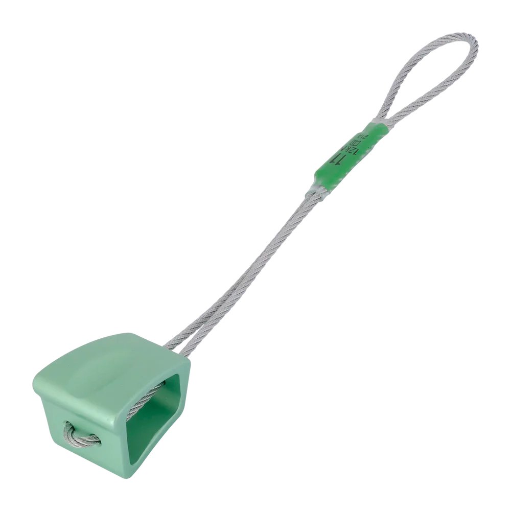 Wallnut - Image 7